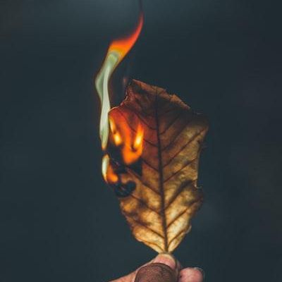 Profile Picture of Delaney Edwards (@@delaney050) on Tiktok