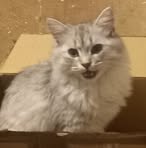 Jake Hemsell - Facebook Profile Picture of Jake Hemsell (@Jake-Hemsell) on Facebook