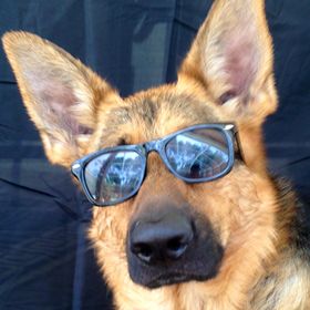 Profile Picture of Sonni Ann Gavin (@g4592) on Pinterest