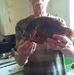 Profile Picture of Alan Singleton (@alan.singleton.378) on Facebook