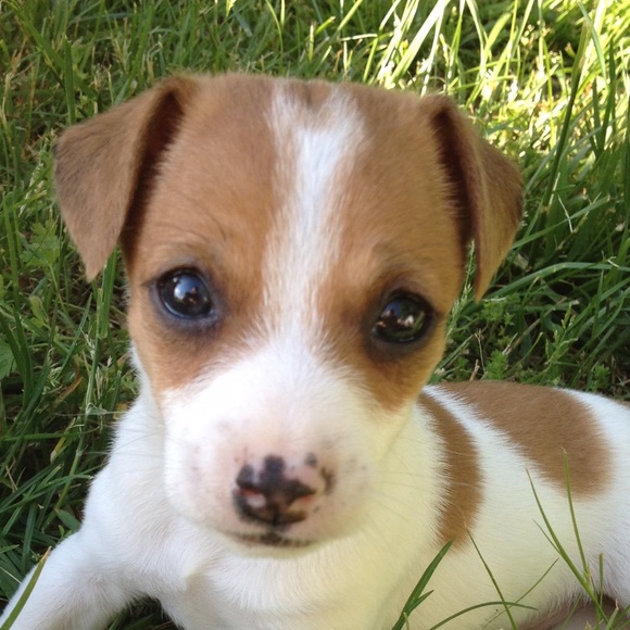 Profile Picture of Karlie Reinkemeyer (@karliereink) on Poshmark