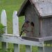 Profile Picture of Nancy Coburn (@necoburn) on Pinterest