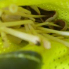 Profile Picture of Nicholas Blanton (@e043e3625d5f4f4) on Twitter