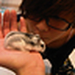 Profile Picture of Hui-Yuan Cheng (@bibithekoalamonster) on Flickr