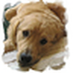 Profile Picture of %uC720Ling's (@%uC720Ling's) on Flickr