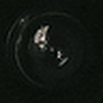 Profile Picture of Daniel  Cuervo (@daniel cuervo diaz) on Flickr
