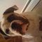 Profile Picture of Scott Sager (@scott.sager.5) on Facebook