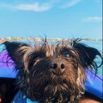 Profile Picture of Lucas Murry (@lucasmurry00) on Instagram