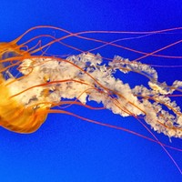 Profile Picture of Steven Lilley (@steven-lilley) on Quora