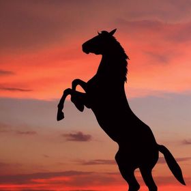 Profile Picture of Amelia Rose Chappell (@ameliarosechapp) on Pinterest