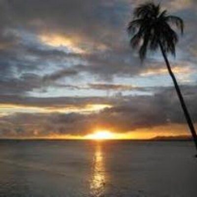Profile Picture of Cindy Blevins (@CynBlevins) on Twitter