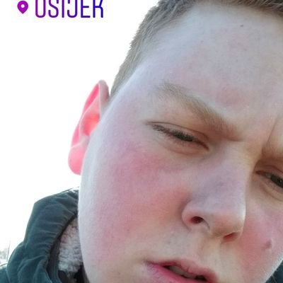 Profile Picture of Mark Vajda (@MarkVajda5) on Twitter