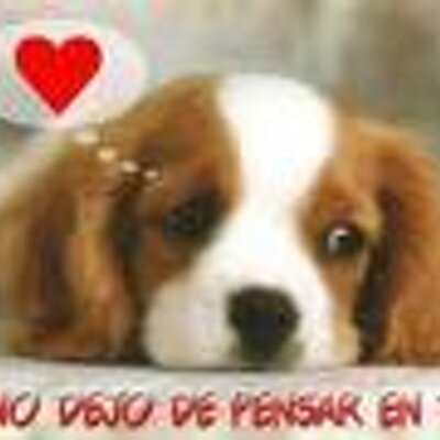 Profile Picture of Margarita Ledesma (@margaritaledesm) on Twitter