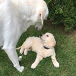 Profile Picture of Kara DeCarolis Vitek (@desandjakespreadjoy) on Instagram