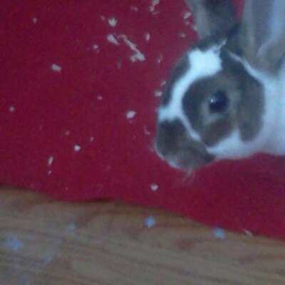 Profile Picture of Michael Parrell (@BeatBoxingMike) on Twitter