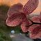 Profile Picture of Laura Engler (@laura.engler.754) on Facebook