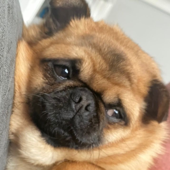 Profile Picture of Jason (@jasongirton69) on Tiktok