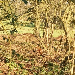 Profile Picture of John Bremner (@john.bremner.984) on Myspace