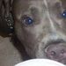Profile Picture of Jacob Walley (@walleyworld8619) on Pinterest