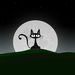 Profile Picture of Faezeh Mobarhan (@mobarhan) on Pinterest