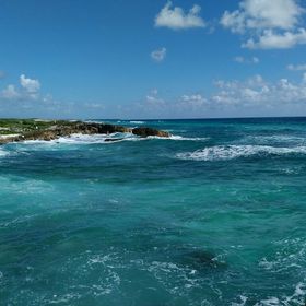 Profile Picture of Paulette Leverett Vines (@PaupetteVines) on Pinterest