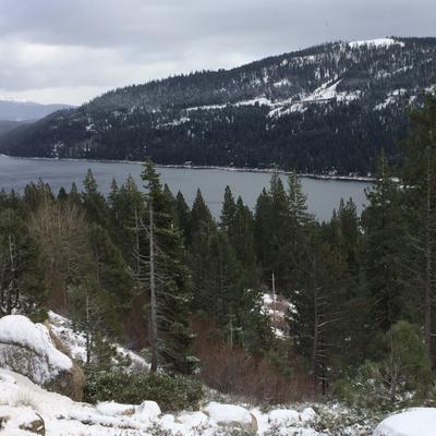 Marco Serrano - Twitter Profile Picture of Marco Serrano (@MarkSarch33) on Twitter