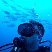 Profile Picture of Mark Oleary (@RingoLombardi) on Youtube