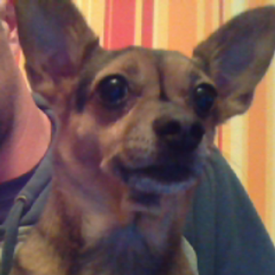 Profile Picture of Pavel Baranov (@PavelBaranov33) on Twitter