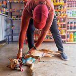 Profile Picture of jerry_caser (@jerry_caser) on Instagram