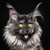 Profile Picture of Steven Swenson (@@stevenswenson66) on Tiktok