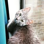 Profile Picture of Holly Acree (@hollyacree_2020) on Instagram
