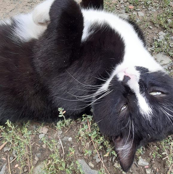 Cherie Riedlinger - Poshmark Profile Picture of Cherie Riedlinger (@cherieriedli257) on Poshmark