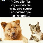 Profile Picture of Tony Barrientos (@tony.barrientos.3150) on Instagram