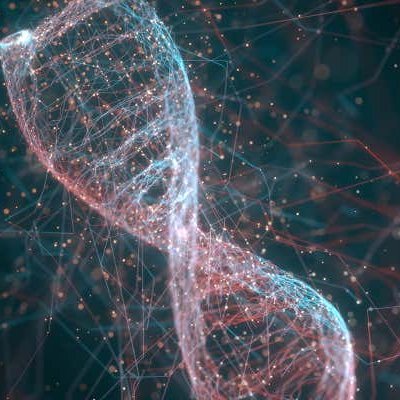 Profile Picture of Jeng-liang (David) Wu (@BobGogodavidw) on Twitter