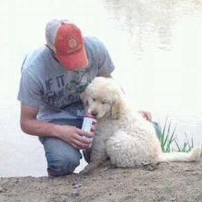 Profile Picture of Travis Morehouse (@tmorehouse21) on Twitter