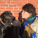 Profile Picture of Britta Meier-Stubbe (@amandahase63) on Instagram