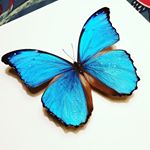 Profile Picture of Joachim Hansen (@buildabutterfly) on Instagram