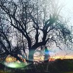 Profile Picture of kevin lason (@kevi.nlason) on Instagram