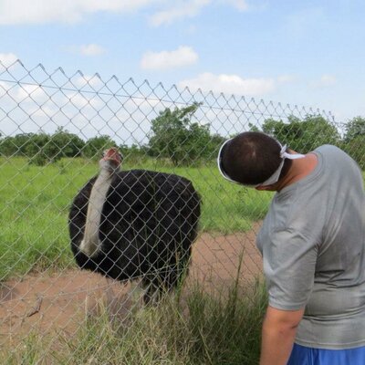 Profile Picture of Chris Price (@chrisprice15) on Twitter