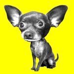 Profile Picture of James Dinh (@studiodinh) on Instagram