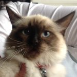 Profile Picture of Muriel Edwards (@swagmuriel) on Instagram