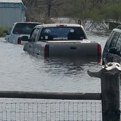 George Mueller - Twitter Profile Picture of George Mueller (@Shelbeygt5001) on Twitter