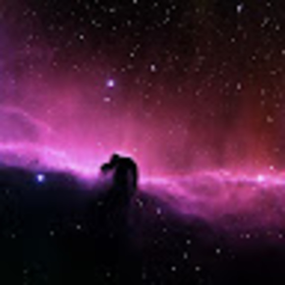 Profile Picture of Katlyn Basarab (@katlynbas) on Poshmark