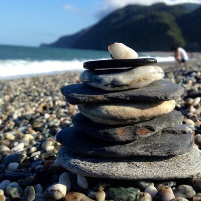 Profile Picture of Alex Shen (@alexshen2011) on Twitter