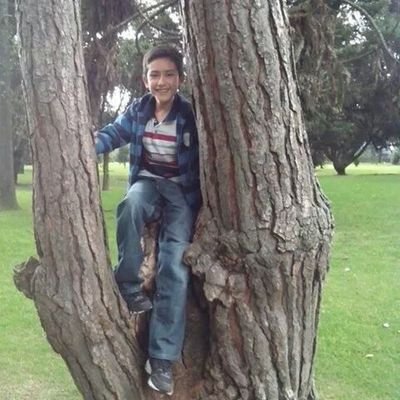 Profile Picture of Mario Toro (@Mariotoro69Toro) on Twitter