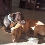 Profile Picture of Linnea Hanno-Provencher (@hannoprovencher) on Instagram