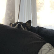 Profile Picture of Andrew Bunn (@andrewbunn6415) on Youtube