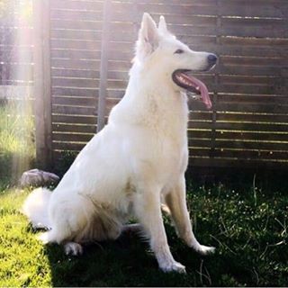 Jordan Ducatillon - Facebook Profile Picture of Jordan Ducatillon (@jordan.ducatillon.5) on Facebook