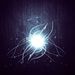 Profile Picture of Brandyn Root (@brandynroot) on Pinterest