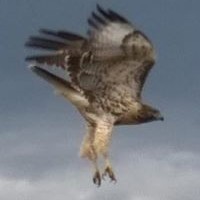 Profile Picture of Jim Nelson (@jim-nelson-85) on Quora